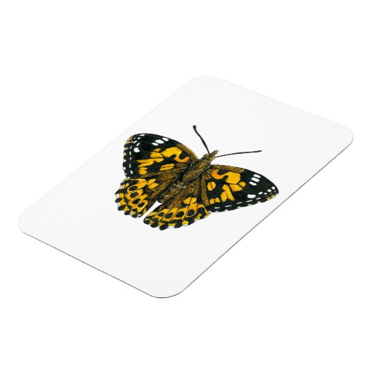 Gemäldeschmetterling Magnet (Linke Seite)