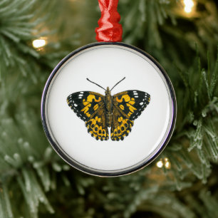 Gemäldeschmetterling Ornament Aus Metall