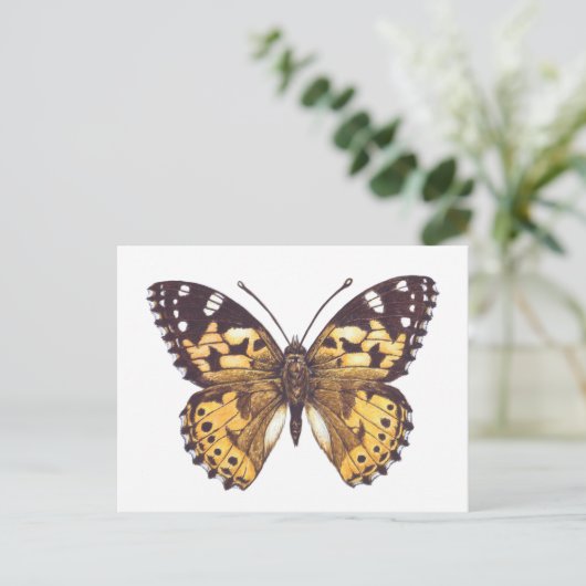 Gemäldeschmetterling Postkarte (Stehend Vorderseite)