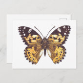 Gemäldeschmetterling Postkarte (Vorne/Hinten)