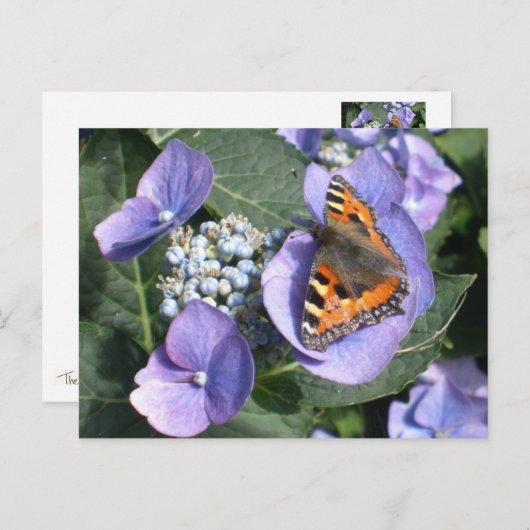 Gemäldete Lady Butterfly 1 Postkarte (Vorne/Hinten)