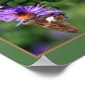 Gemäldete Lady Butterfly auf Aster-Blume Abstrakt Poster (Ecke)