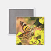Gemäldete Lady Butterfly auf Myrtle Spurell Magnet (Vorderseite/Rückseite)