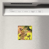 Gemäldete Lady Butterfly auf Myrtle Spurell Magnet (In Situ (Geschirrspüler))