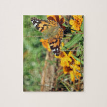 Gemäldete Lady Butterfly auf Zinnia Jigsaw Puzzle