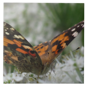 Gemäldete Lady Butterfly Fliese