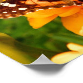 Gemäldete Lady Butterfly Foto Poster (Ecke)
