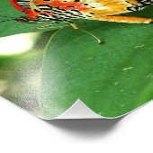 Gemäldete Lady Butterfly Fotodruck (Ecke)