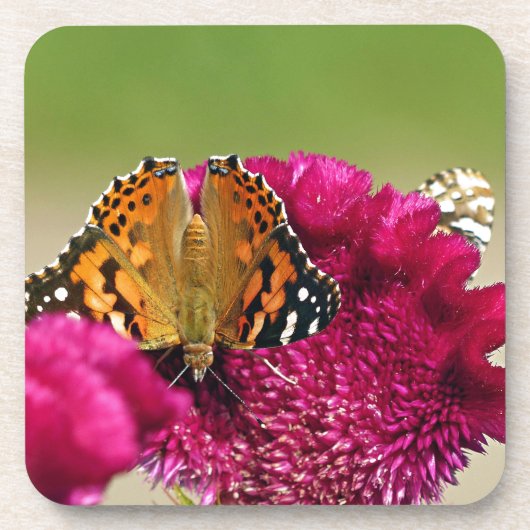 Gemäldete Lady Butterfly Getränkeuntersetzer (Vorderseite)
