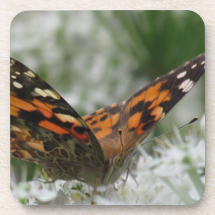 Gemäldete Lady Butterfly Getränkeuntersetzer