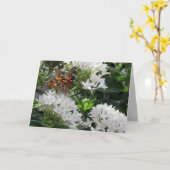 Gemäldete Lady Butterfly Grußkarte Karte (Gelbe Blume)