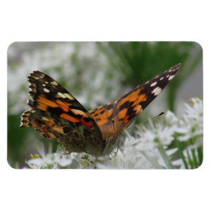 Gemäldete Lady Butterfly Magnet