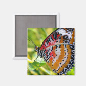 Gemäldete Lady Butterfly Magnet (Vorderseite/Rückseite)