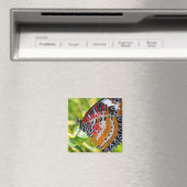 Gemäldete Lady Butterfly Magnet (In Situ (Geschirrspüler))