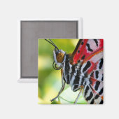 Gemäldete Lady Butterfly Magnet (Vorderseite/Rückseite)