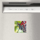 Gemäldete Lady Butterfly Magnet (In Situ (Geschirrspüler))
