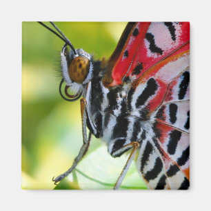 Gemäldete Lady Butterfly Magnet