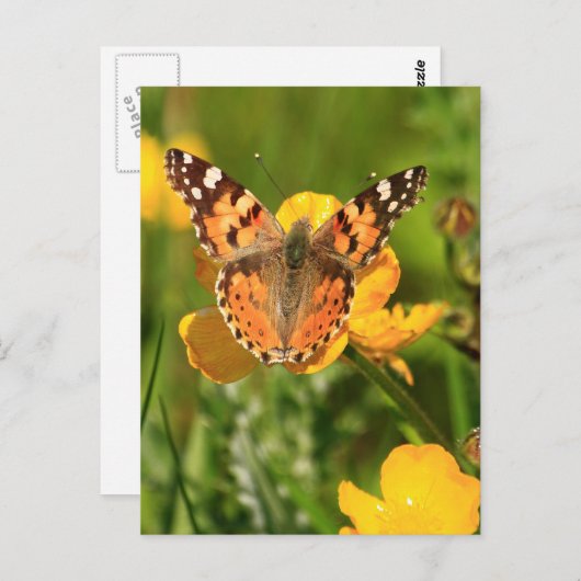 Gemäldete Lady Butterfly Postkarte (Vorne/Hinten)