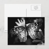 Gemäldete Lady Butterfly - Postkarte (Vorne/Hinten)