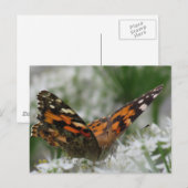 Gemäldete Lady Butterfly Postkarte (Vorne/Hinten)