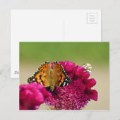 Gemäldete Lady Butterfly Postkarte (Vorne/Hinten)