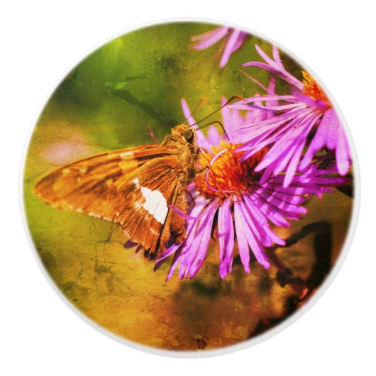 Gemäldete Lady Butterfly Wild Aster Blume Abstrakt Keramikknauf (Vorderseite)