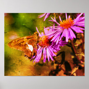 Gemäldete Lady Butterfly Wild Aster Blume Abstrakt Poster