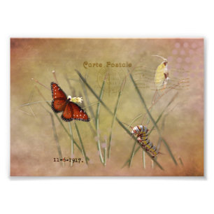 Gemäldete Lady Mixed Media Fotodruck