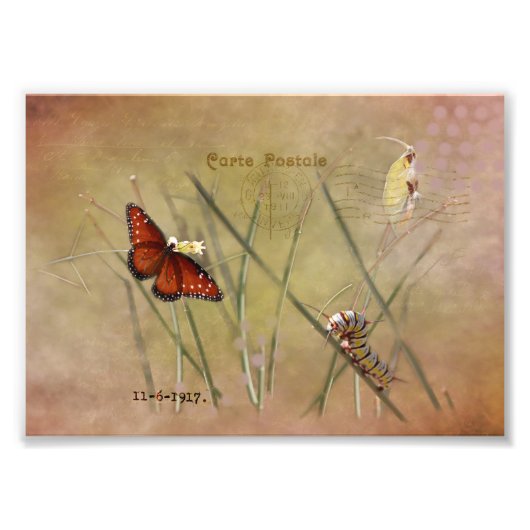 Gemäldete Lady Mixed Media Fotodruck (Vorne)