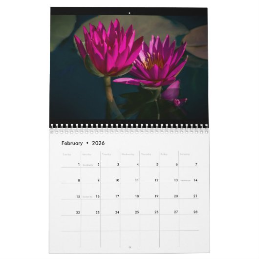 Gemäldeter Schönheitskalender Kalender (Feb 2026)