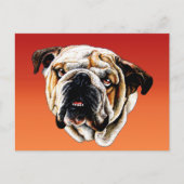 Gemäldetes Bulldoggesicht Postkarte (Vorderseite)