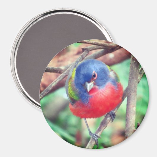 Gemäldetes Jagdmagnet Magnet (Vorderseite/Rückseite)