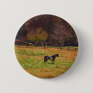 Gemäldetes Pferd in der Ferne Button