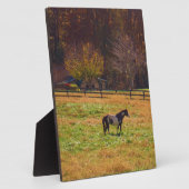 Gemäldetes Pferd in der Ferne Fotoplatte (Seite)