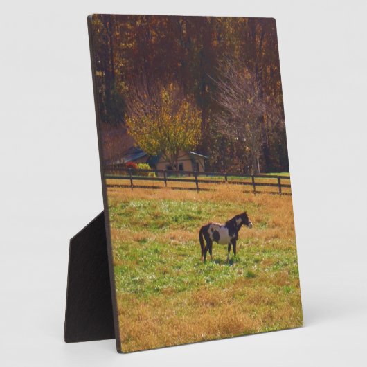 Gemäldetes Pferd in der Ferne Fotoplatte (Seite)