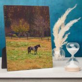 Gemäldetes Pferd in der Ferne Fotoplatte (Seite)