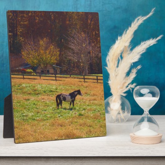 Gemäldetes Pferd in der Ferne Fotoplatte (Seite)