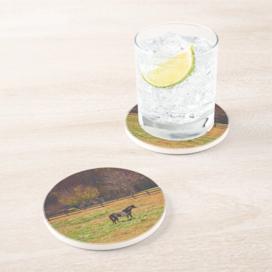 Gemäldetes Pferd in der Ferne Getränkeuntersetzer (Seite)