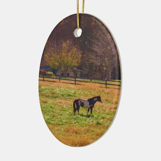 Gemäldetes Pferd in der Ferne Keramikornament (Links)