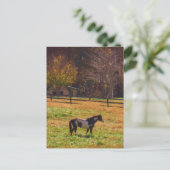 Gemäldetes Pferd in der Ferne Postkarte (Stehend Vorderseite)