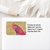 Gemalt Little Red Hen (Insitu)