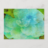 Gemalte Blume von Shirley Taylor Postkarte (Vorderseite)