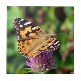 Gemalte Dame Butterfly Ceramic Foto Tile Fliese