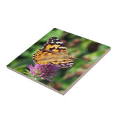 Gemalte Dame Butterfly Ceramic Foto Tile Fliese (Seite)