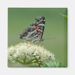 Gemalte Dame Butterfly Magnet