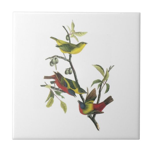 Gemalte Flagge durch Audubon Fliese (Vorderseite)