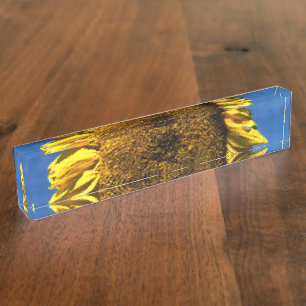 gemalte große gelbe Sonnenblume vor blauem Himmel Namensplakette
