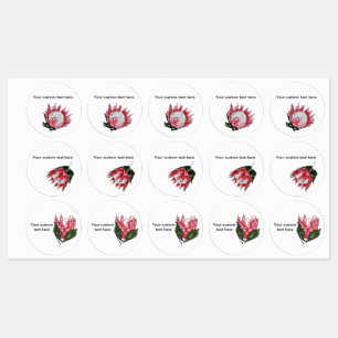 Gemalte King Protea Wasserdichte Etiketten