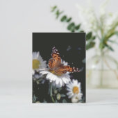 Gemalte Lady Butterfly auf der Daisy Postcard Postkarte (Stehend Vorderseite)