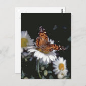 Gemalte Lady Butterfly auf der Daisy Postcard Postkarte (Vorne/Hinten)